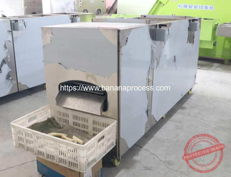 Automatic-Advanced-Feeding-Double-Inlet-Green-Banana-Peeling-Machine-for-France